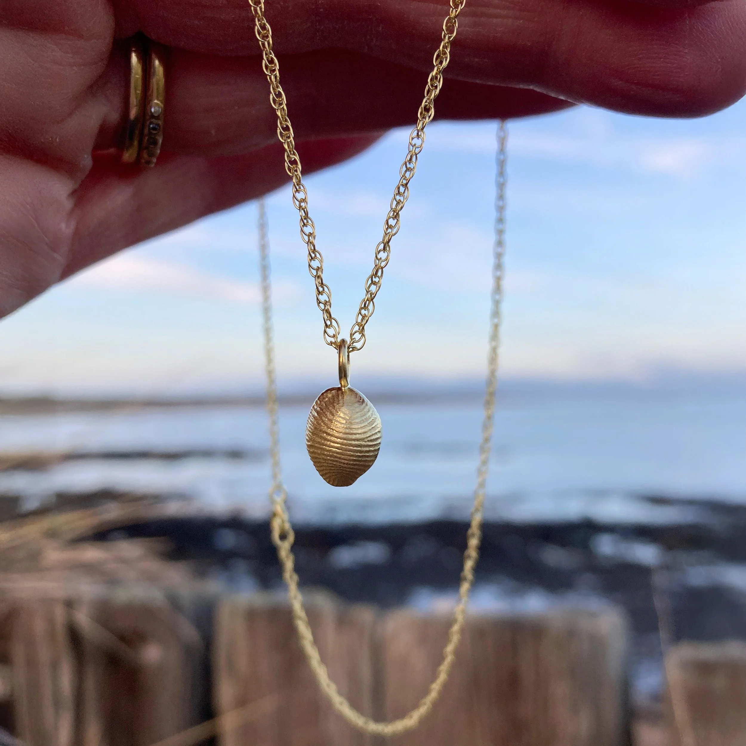 HLL Shell Necklace 18ct Gold Plated 2 copy 2.jpg