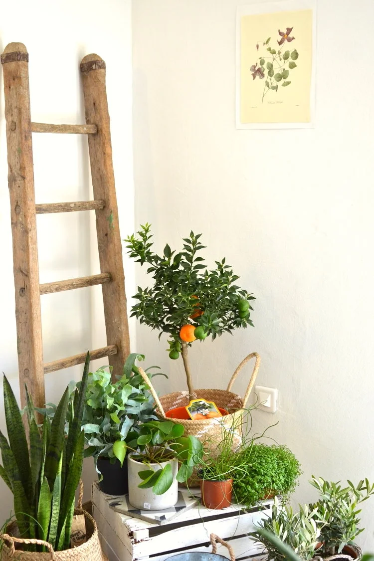 La Fabrique d'Etoiles Filantes - Découvrez la boutique-atelier d'Aude, à Villelaure