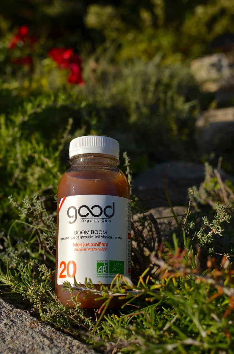 twinky+lizzy+blog+aix+en+provence+-+cure+global+detox+thermes+sextius+14.jpg