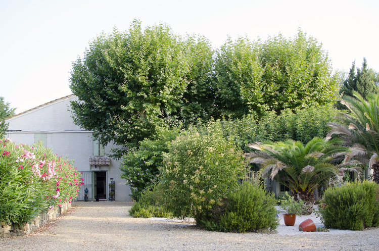 twinky+lizzy+blog+aix+en+provence+-+la+noria+cazouls+les+beziers+05.jpg