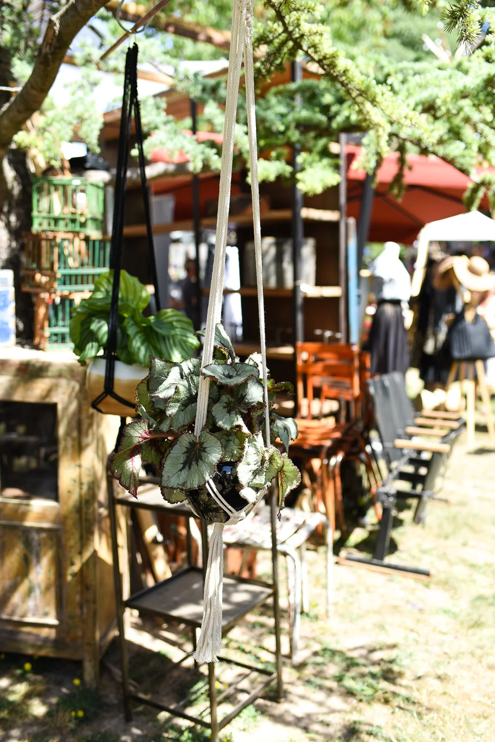 twinky-lizzy-blog-salon-vivre-cote-sud-2019-aix-en-provence-21.jpg