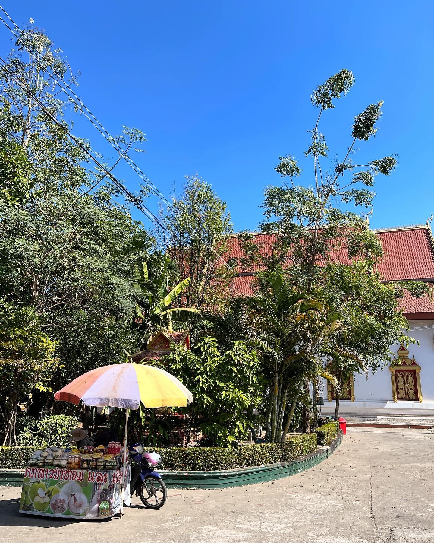 WAT THAT LUANG - Ce temple incroyable abrite un cheveu de bouddha 🙏
.
.
.
#elisabethinthavong #twinkylizzy #vientiane #watthatluang #thatluang #vientiane #vientiane🇱🇦 #vientianelaos #laos #laostravel #laostrip #laos🇱🇦