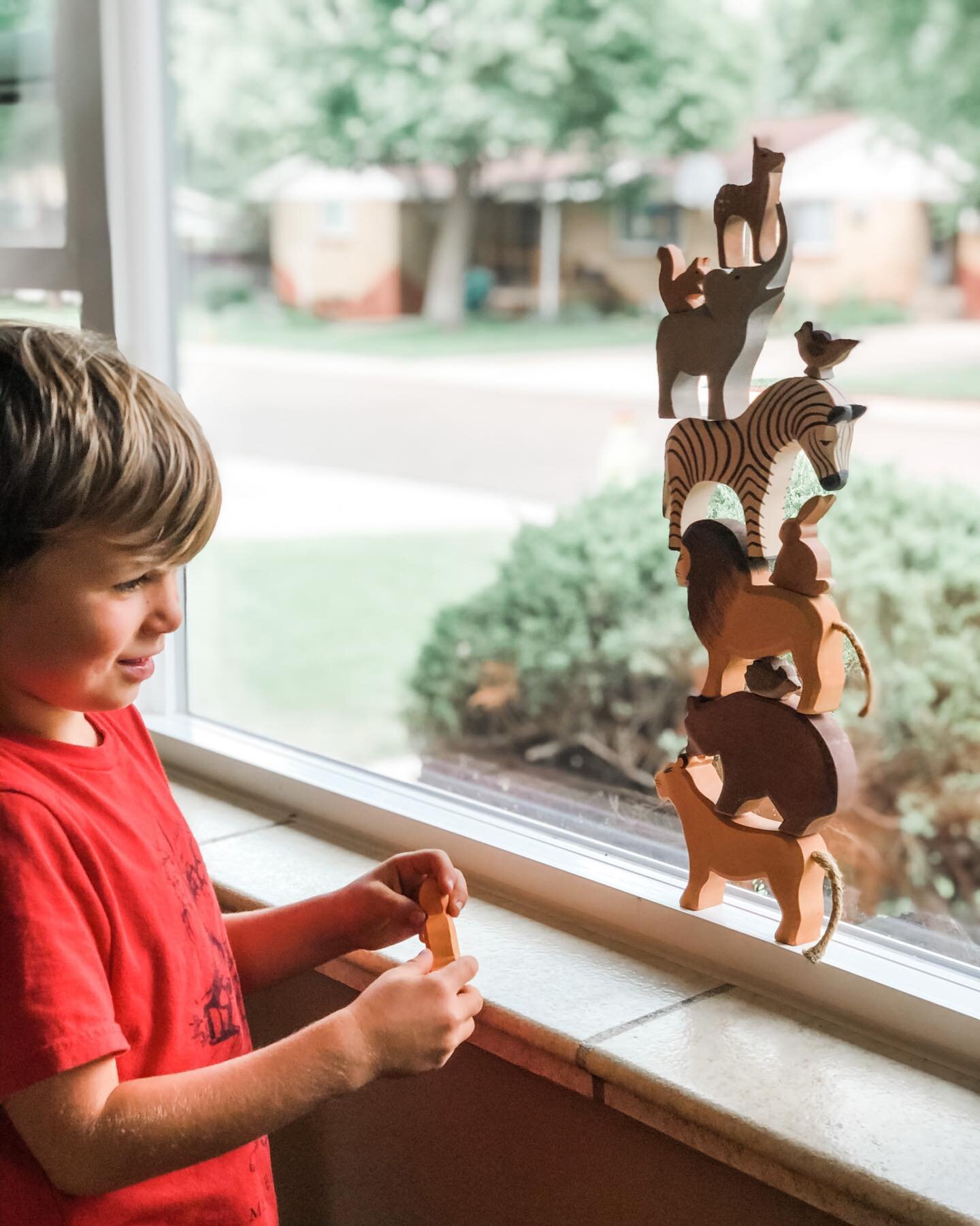 &bull; AN UPSIDE TO NEIGHBORING &bull;

Here&rsquo;s Isaiah. Our 5 year old neighbor.

He&rsquo;s the king of exploring. The king of repurposing nature finds. And apparently, the king of stacking wooden animals. 

Since before the babes knew about el