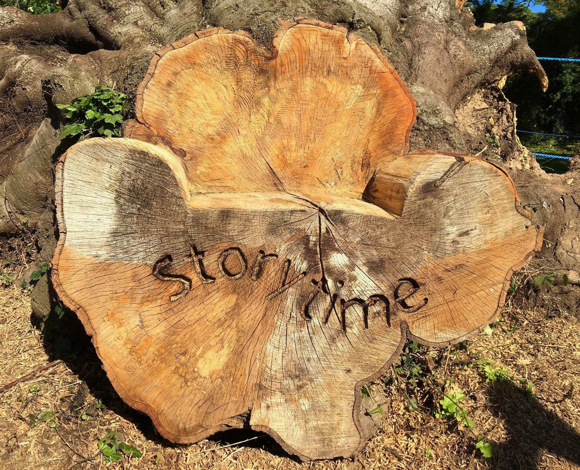 wood-1786472_1920.jpg