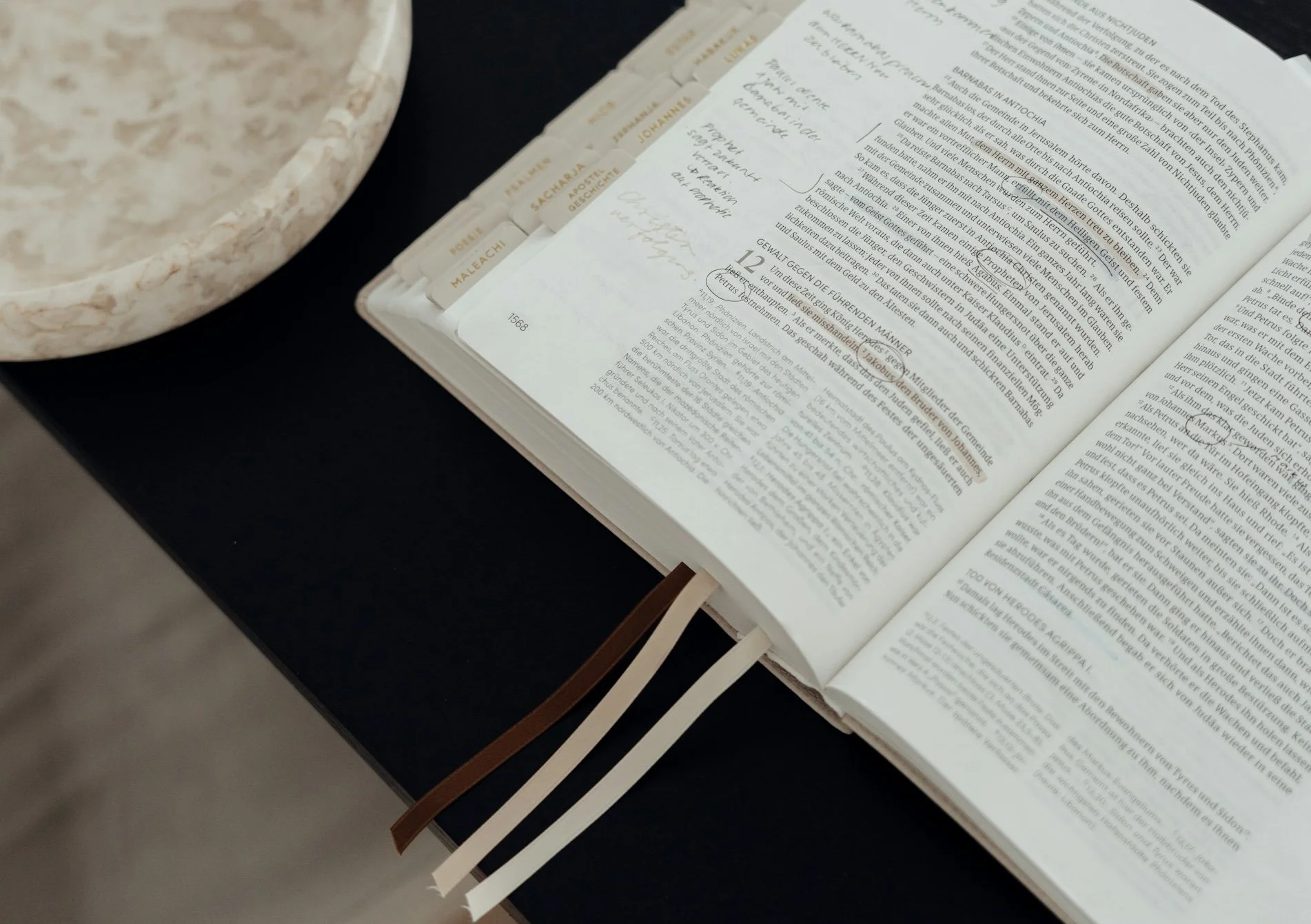 Open Study Bible