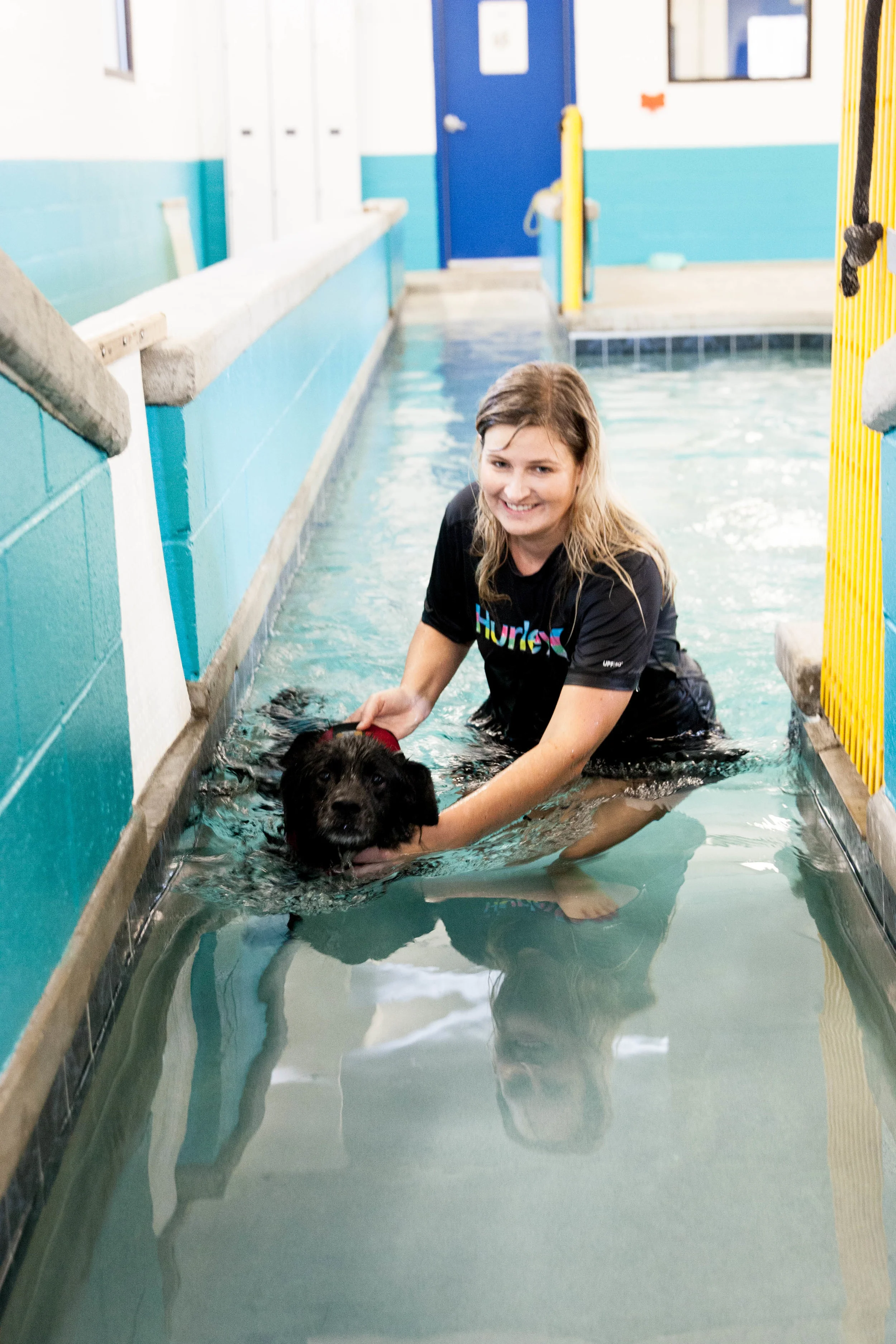 paws-to-swim-nov-2015-21.jpg