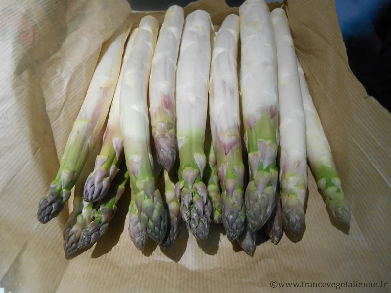 Asperges