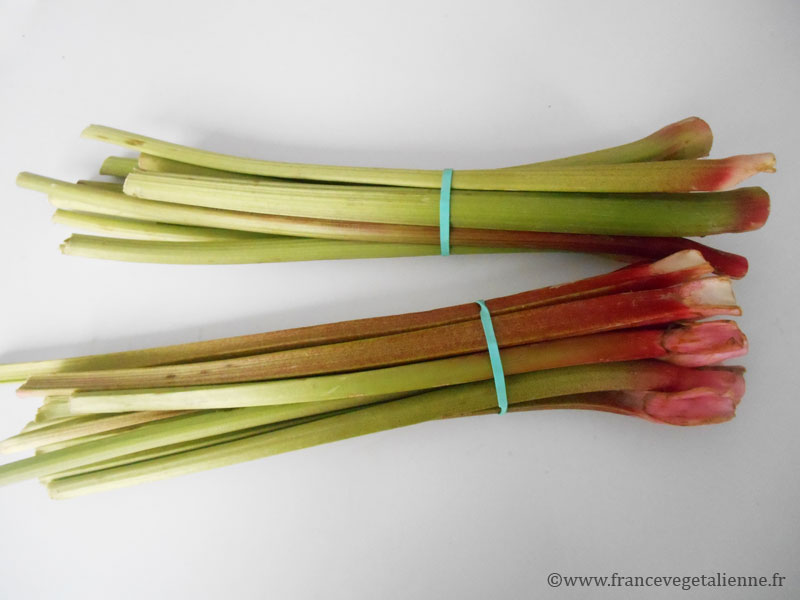 Rhubarbe