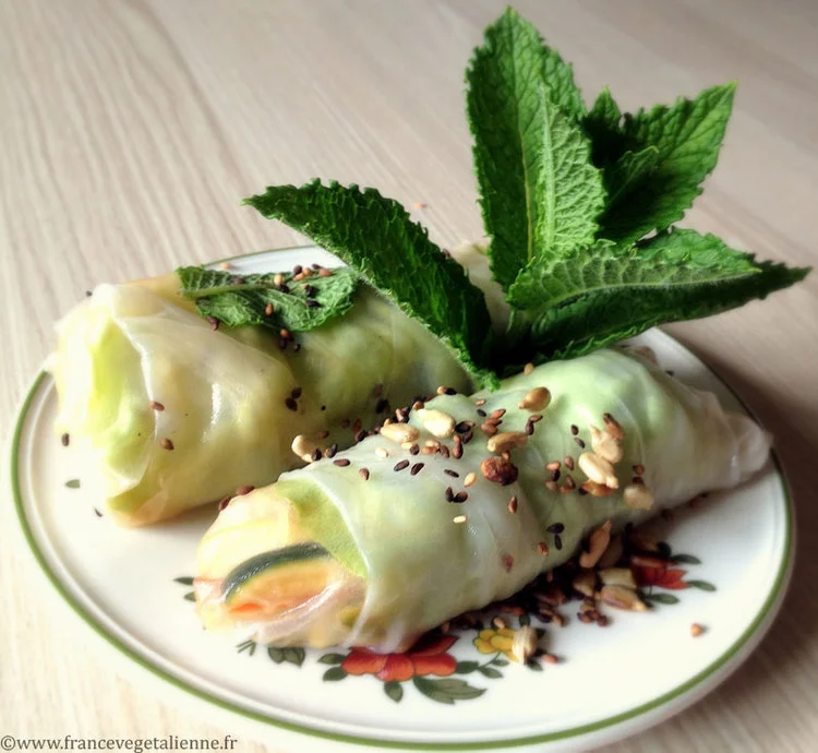 Rouleaux de printemps (végétalien, vegan)