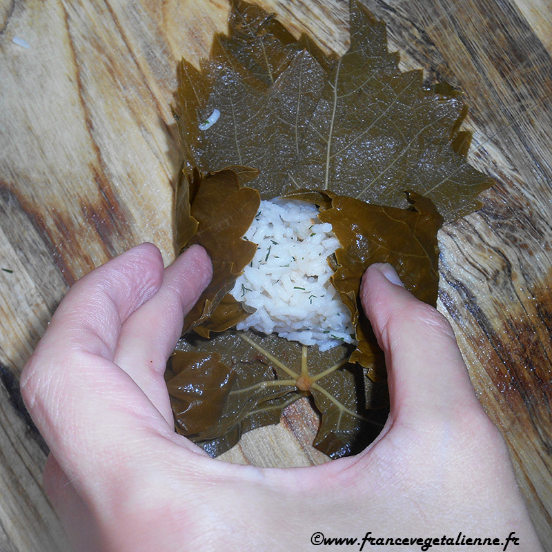 Dolmas-feuilles-de-vigne-farcies-préparation-4.jpg