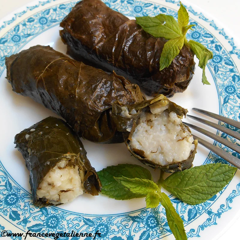 Dolma (feuille de vigne farcie) (végétalien, vegan)