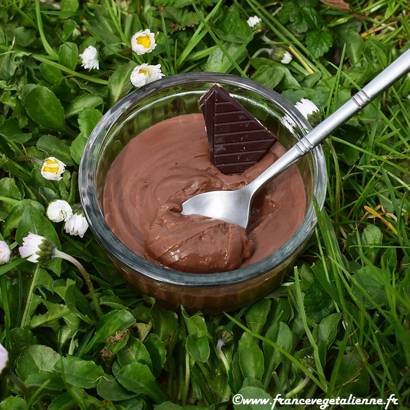 Crème dessert au chocolat (végétalien, vegan)