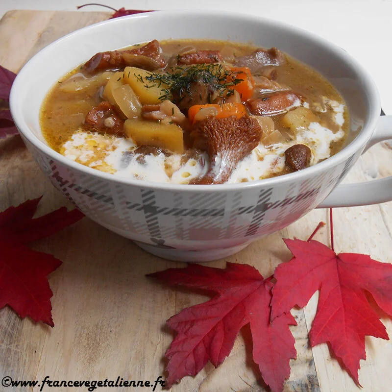 Soupe-aux-champignons-des-bois-façon-russe-recette-végane-i.jpg