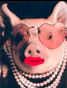 Lipstick on a Pig