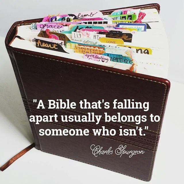 7e1fcee27d4c21b88d9081e996d785cf--sweet-quotes-good-quotes.jpg