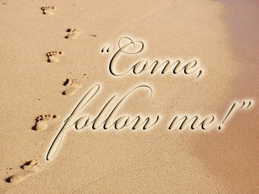 follow-me.jpg