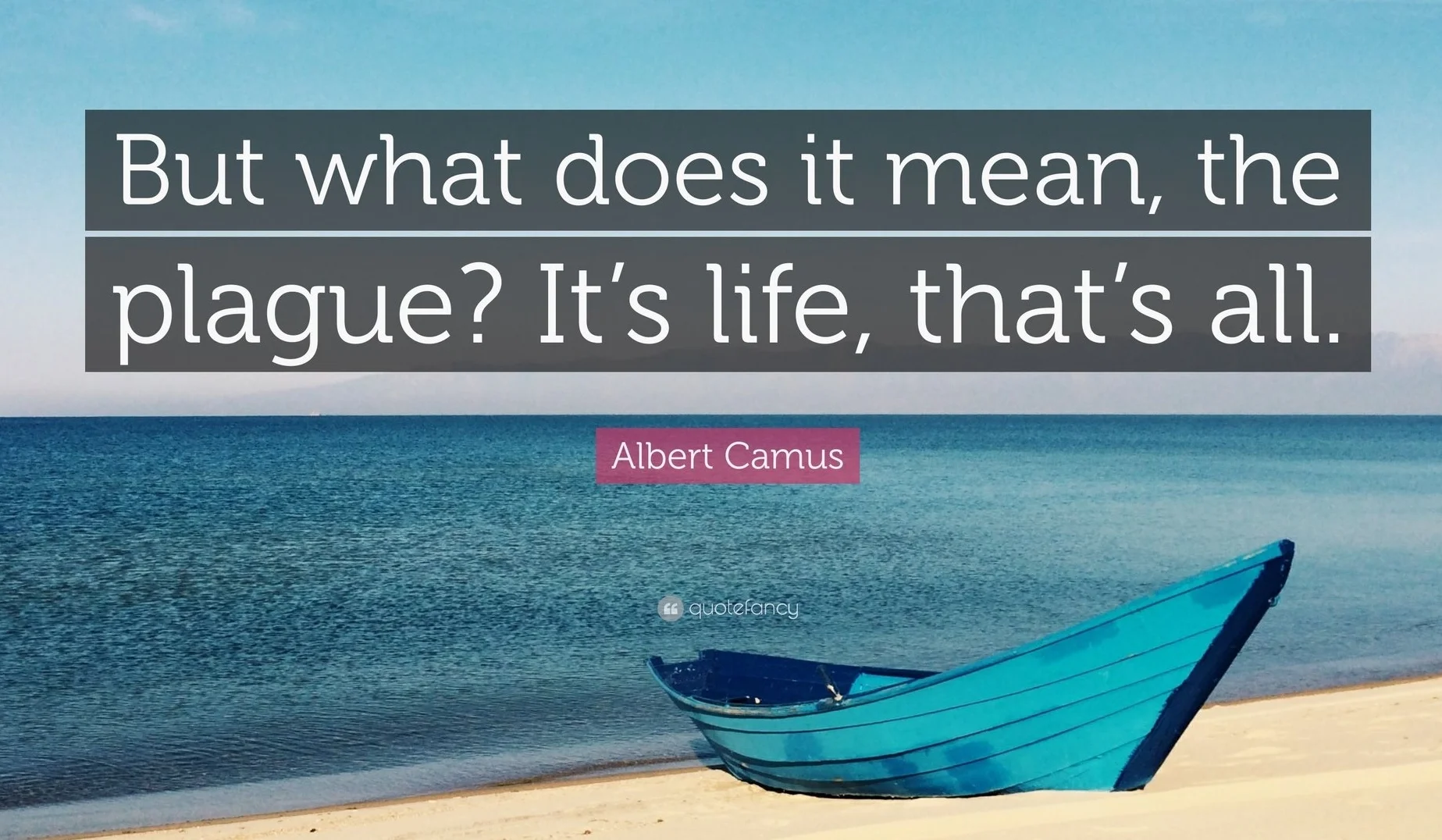2137885-Albert-Camus-Quote-But-what-does-it-mean-the-plague-It-s-life-that.jpg