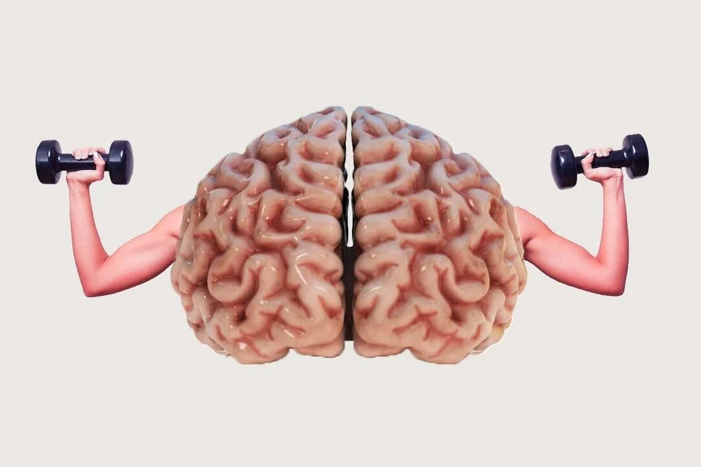 Muscle Memory