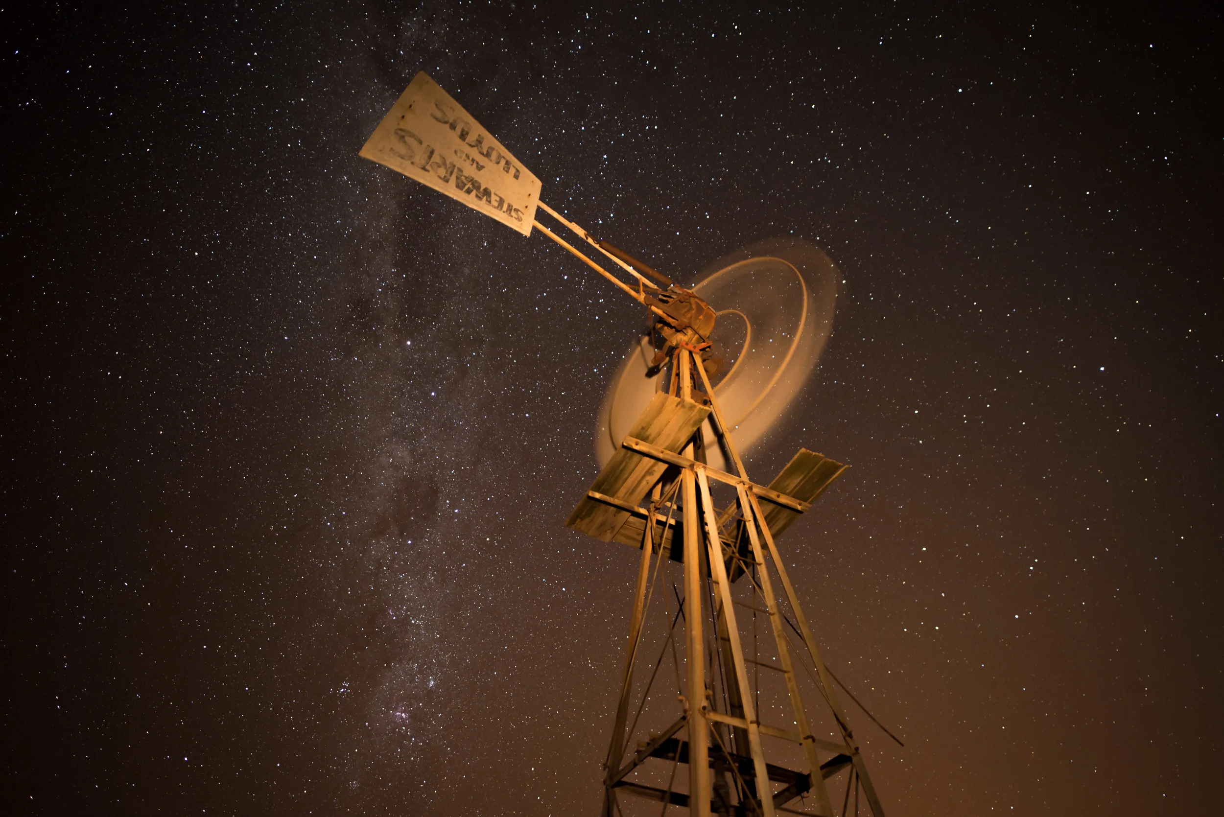 D61_8125.jpg
