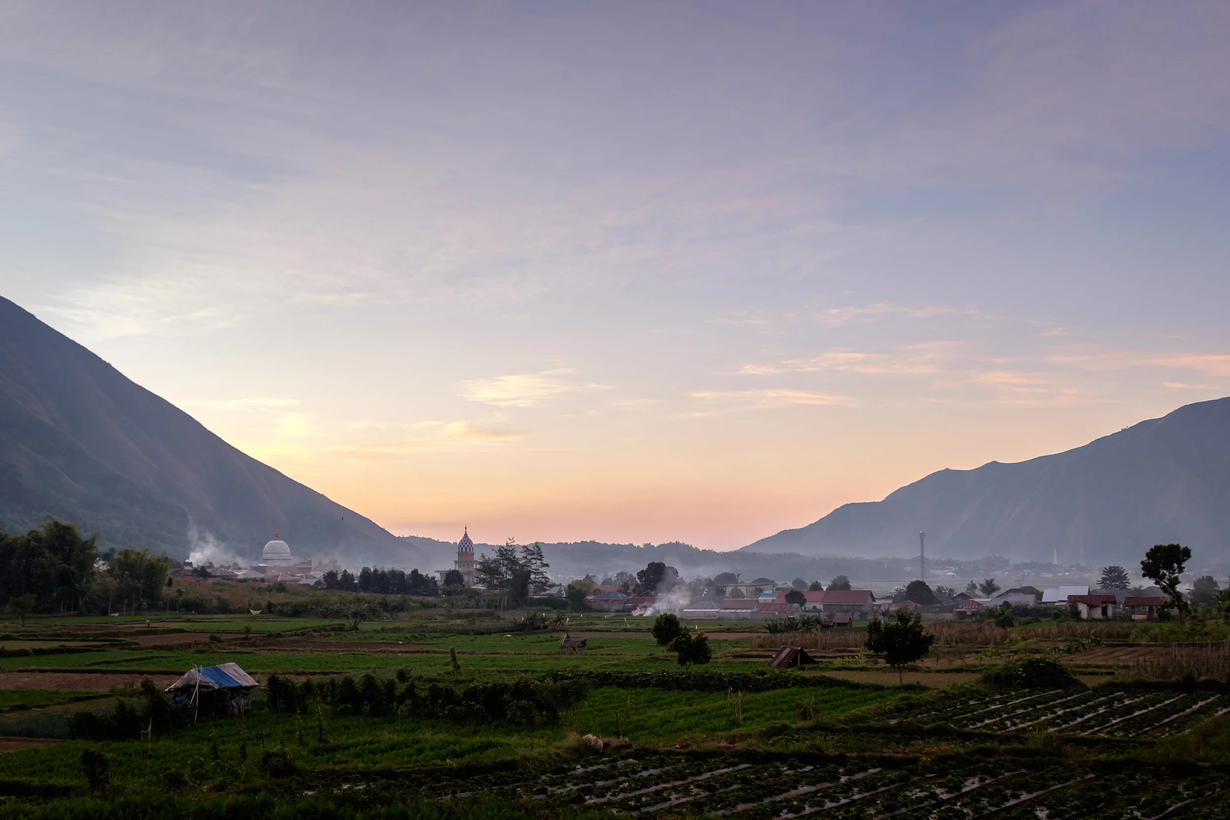 DSCF5943.jpg