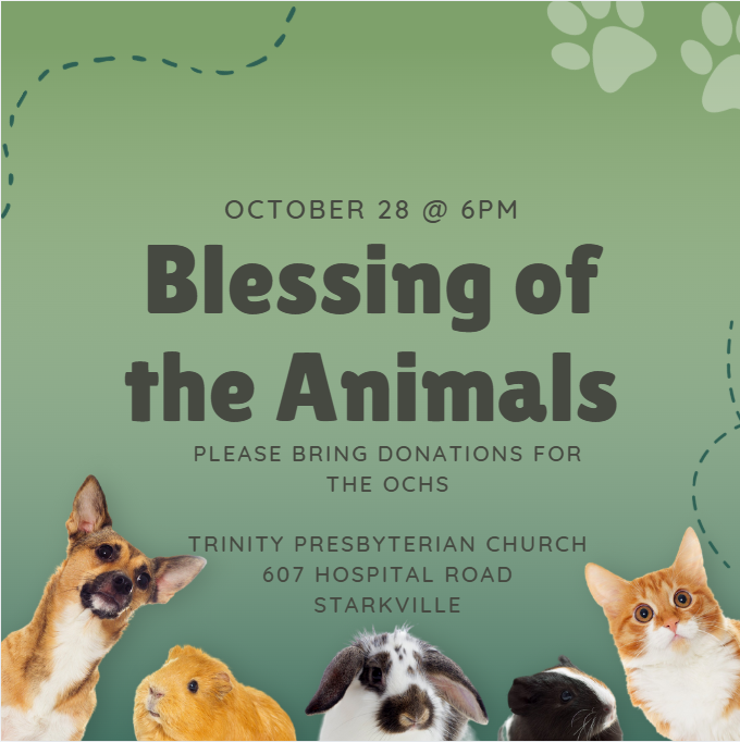 Blessing of Animals 2026.png