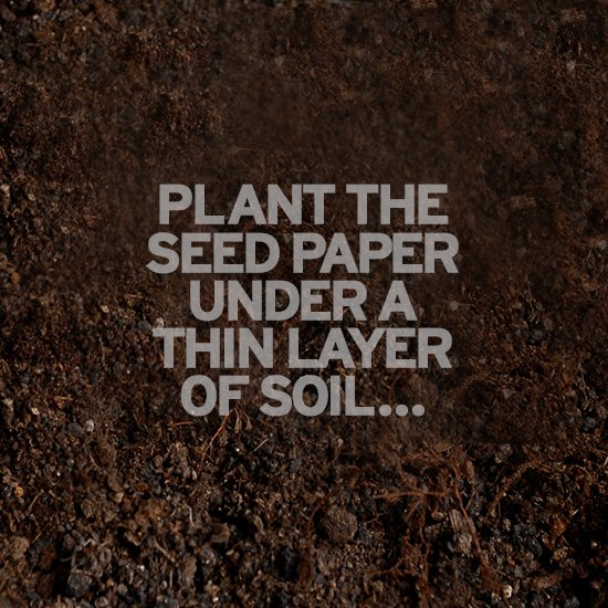 plant_seed_paper_in_soil.jpg