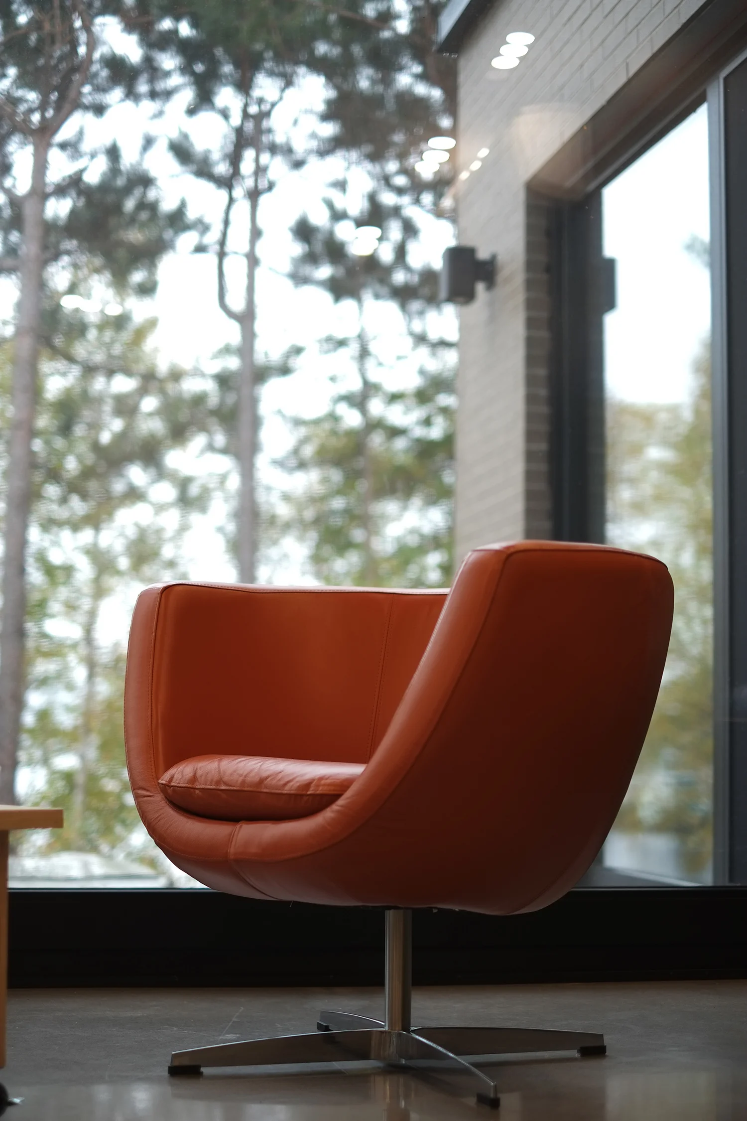 chalet_pin_bouleau_10.jpg