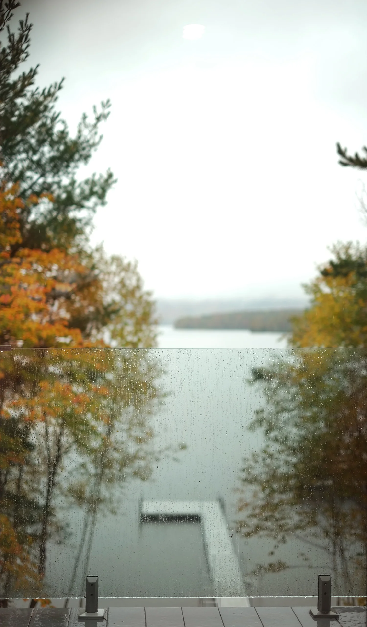 chalet_pin_bouleau_12.jpg