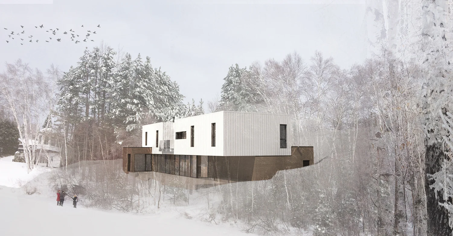 chalet_pin_bouleau_2.jpg