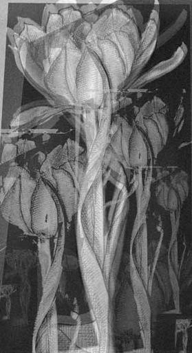 Abused through ages, 2014