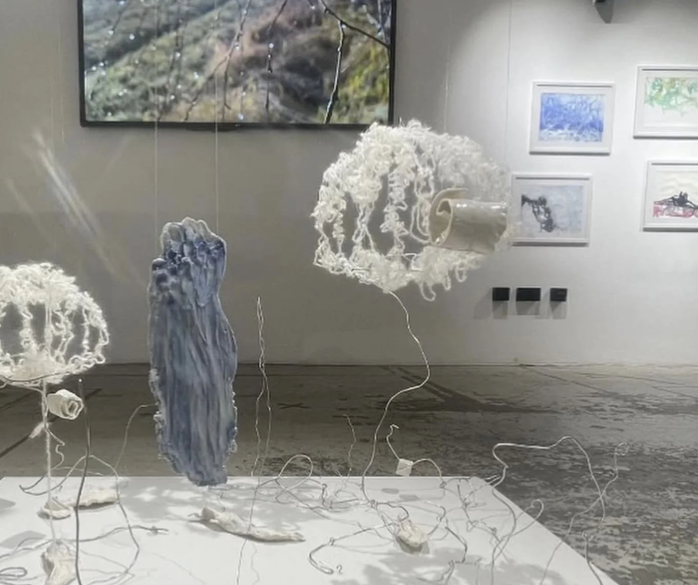 Installation by Svetlana Atlavina and Adrian Room. ArtCan Bridge