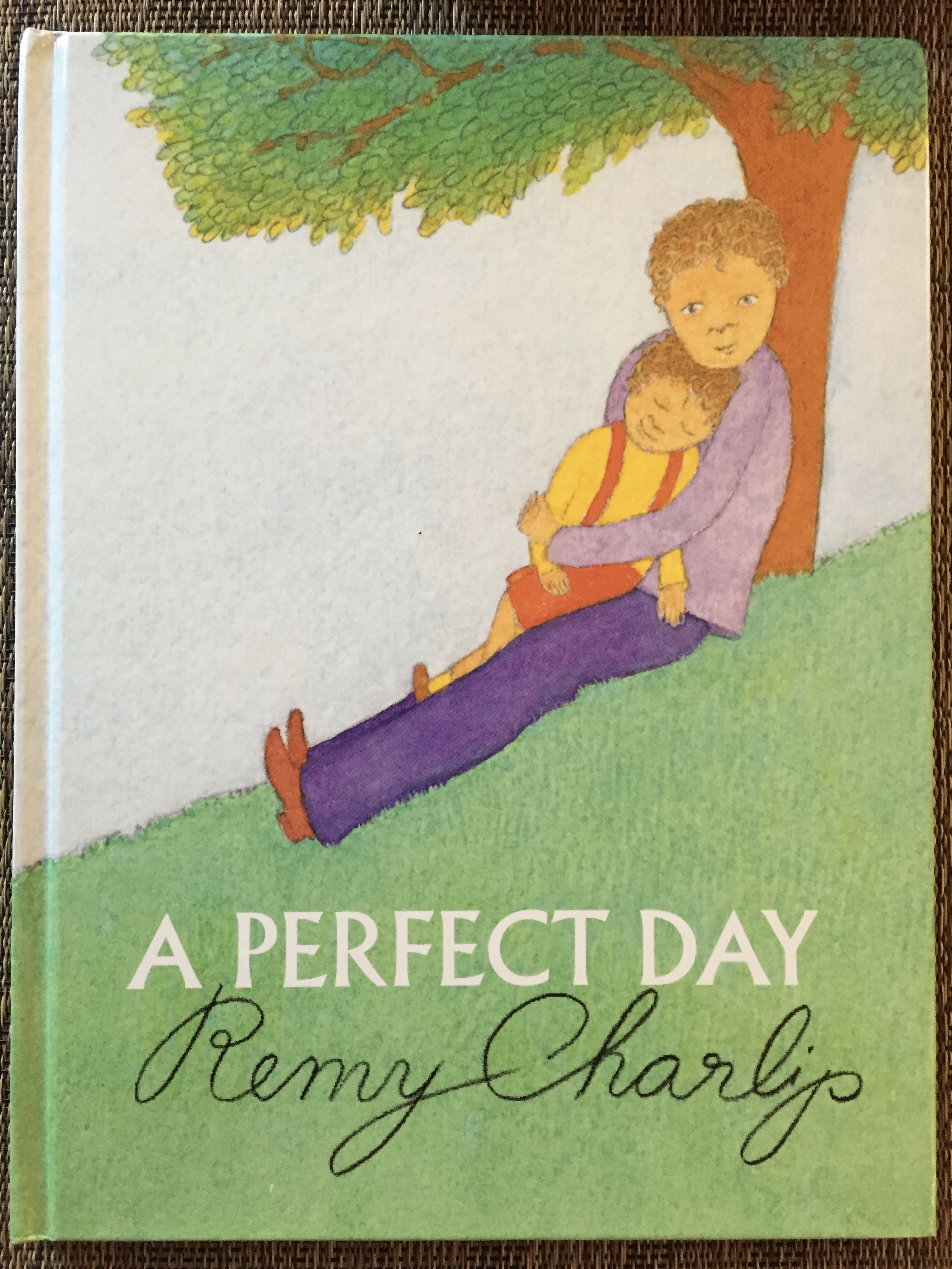A Perfect Day was Remy's last book. Published in 2007.