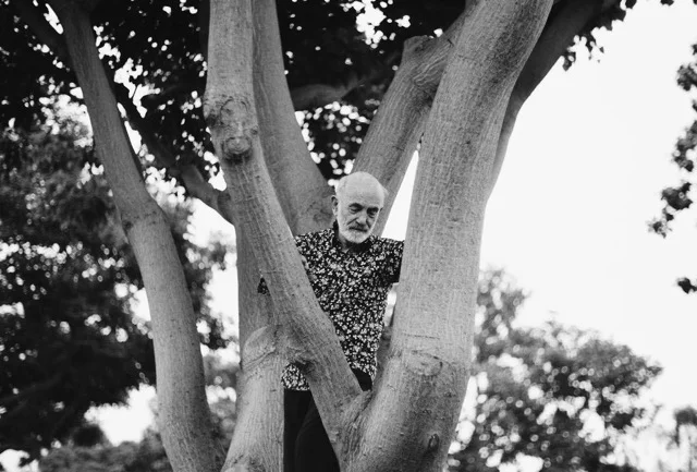 Remy Charlip revisiting trees that years earlier inspired his Garden Lilac dance. Robertson Blvd., Santa Monica, California. Photo: Kevin Gralewski (used by permission).