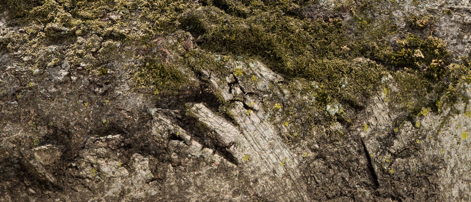 150.324.815 From Terra Incognita, 2015