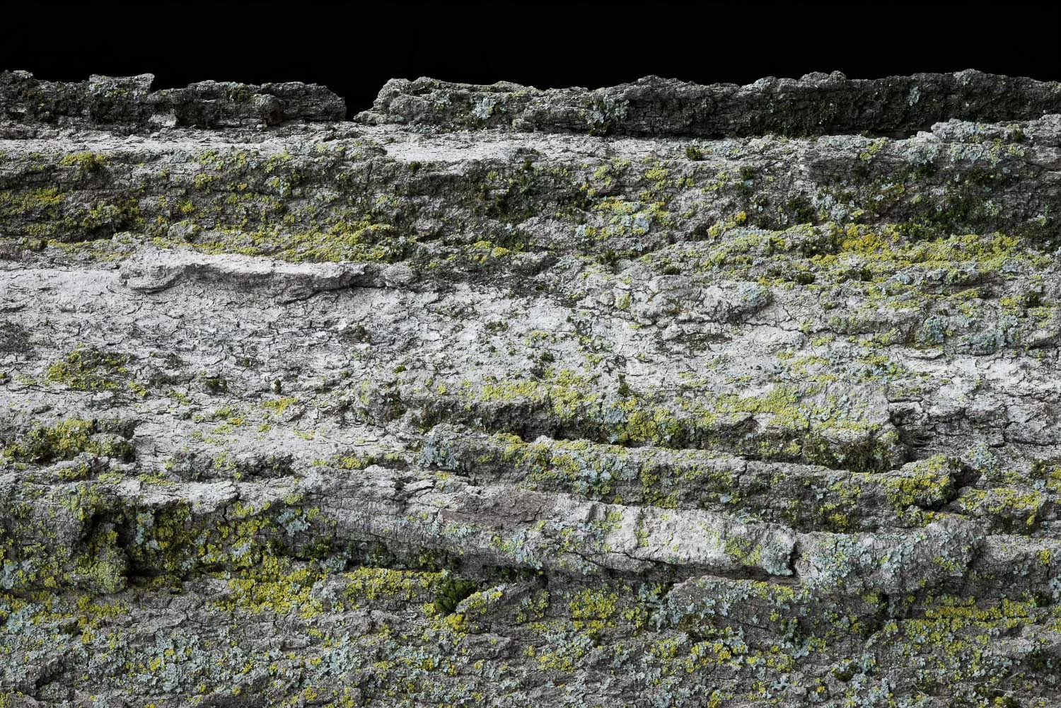 150.425.214 From The Terrain Beyond, 2015