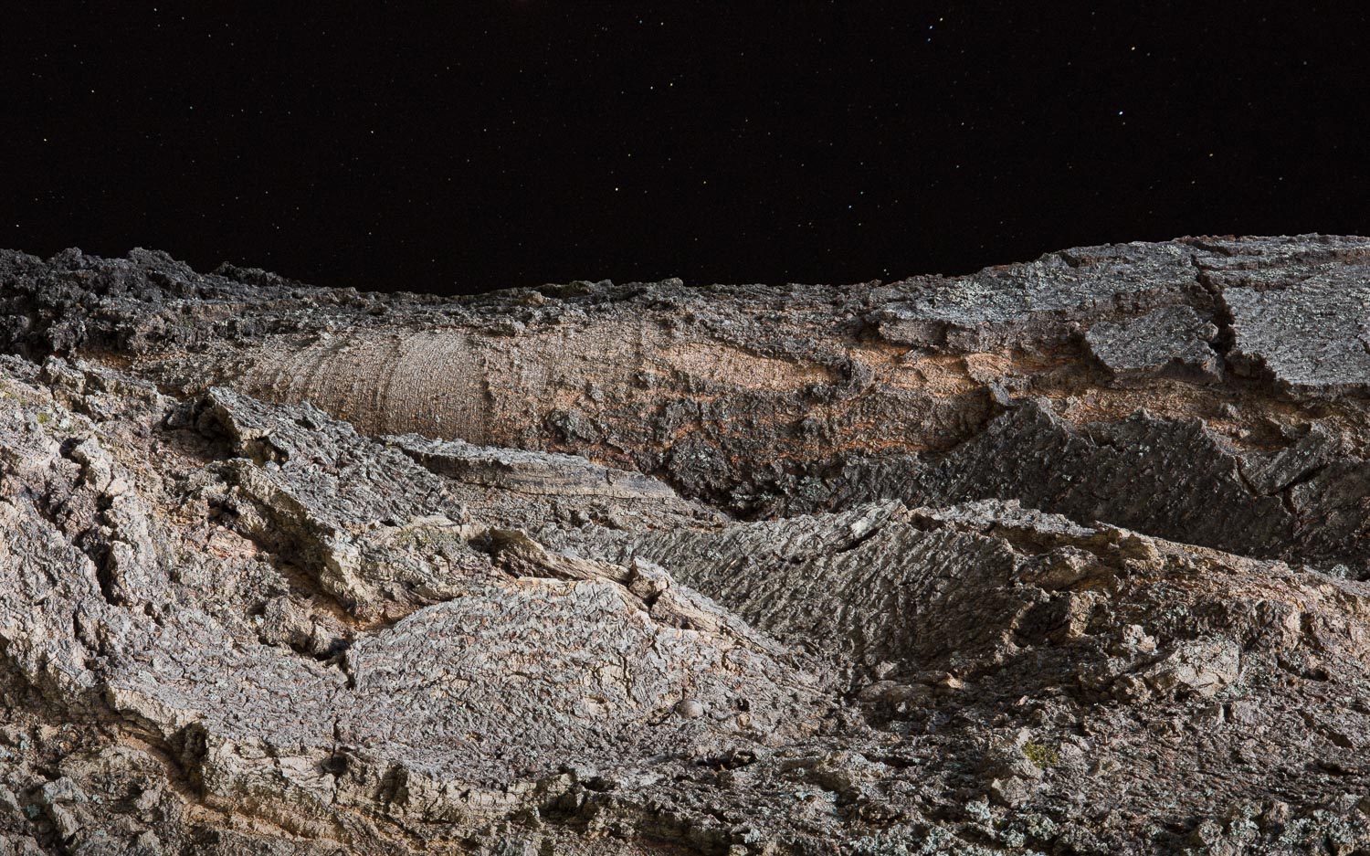 150.425.759 From The Terrain Beyond, 2015