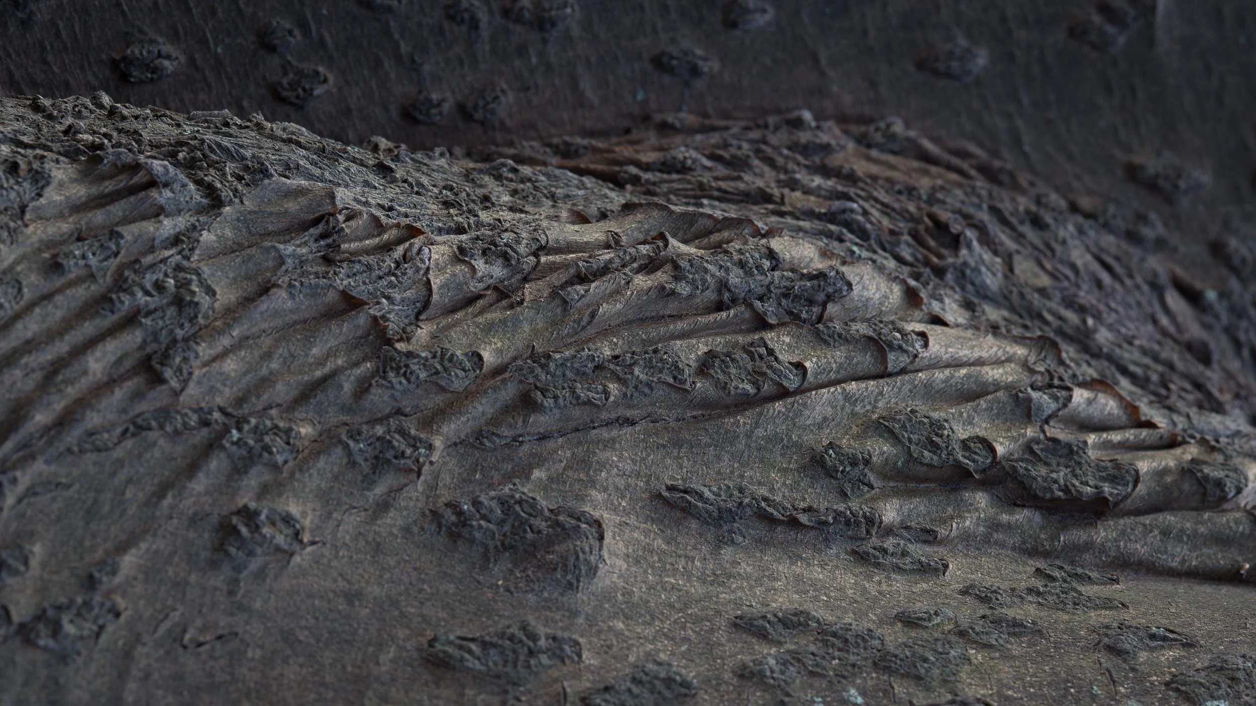 141.107.893 From Terra Incognita, 2014