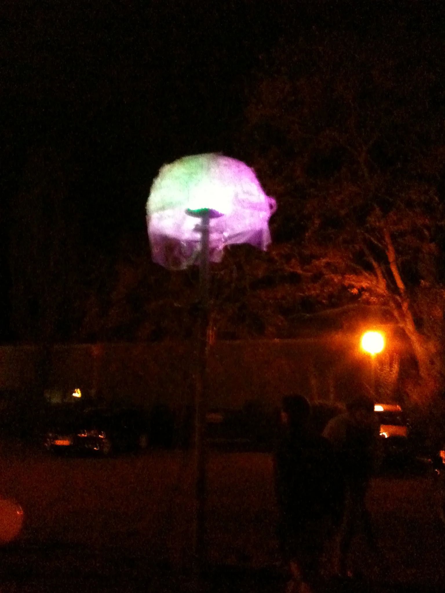 2012-11-30 18.43.42.jpg