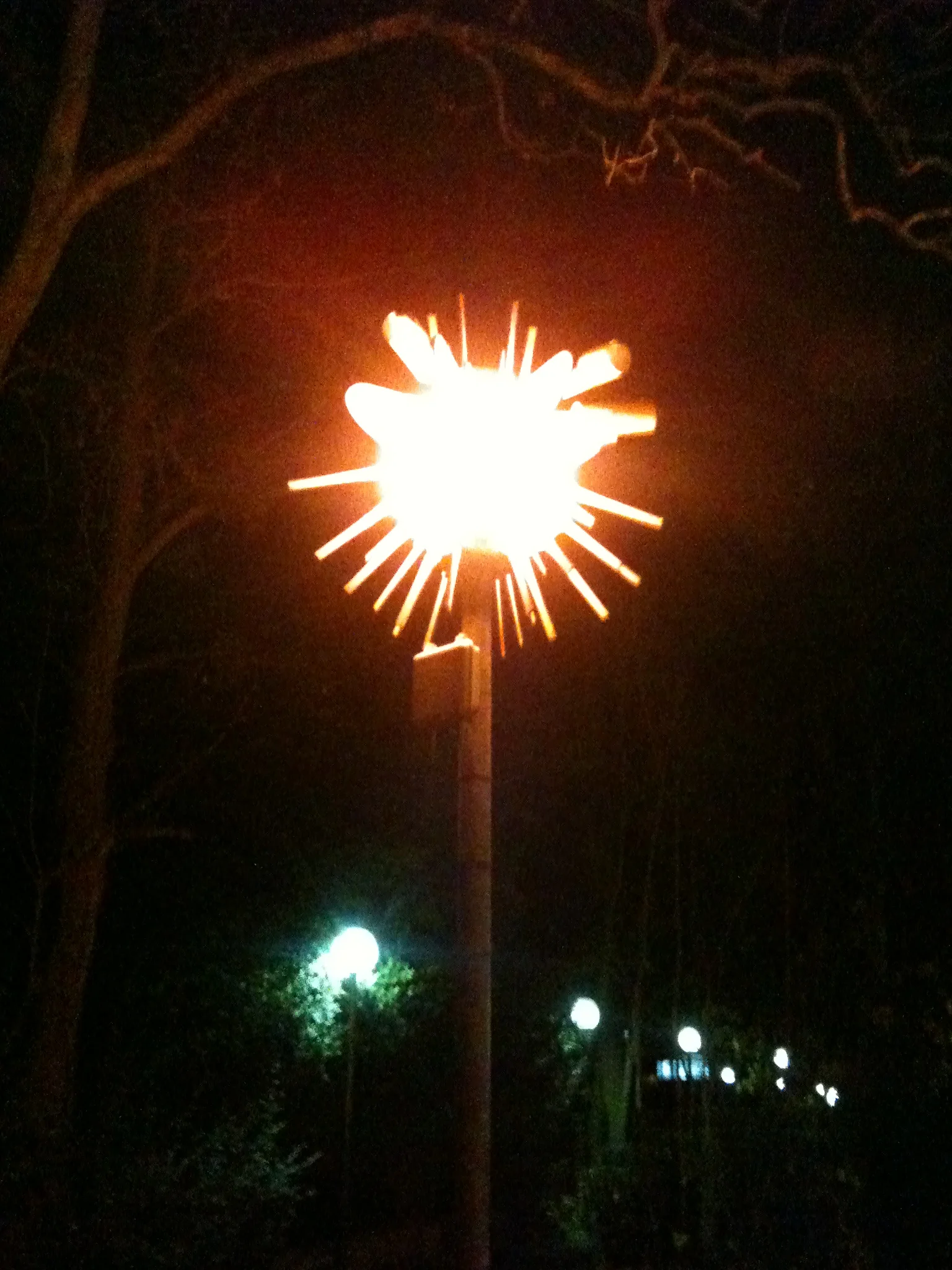 2012-11-30 18.51.49.jpg