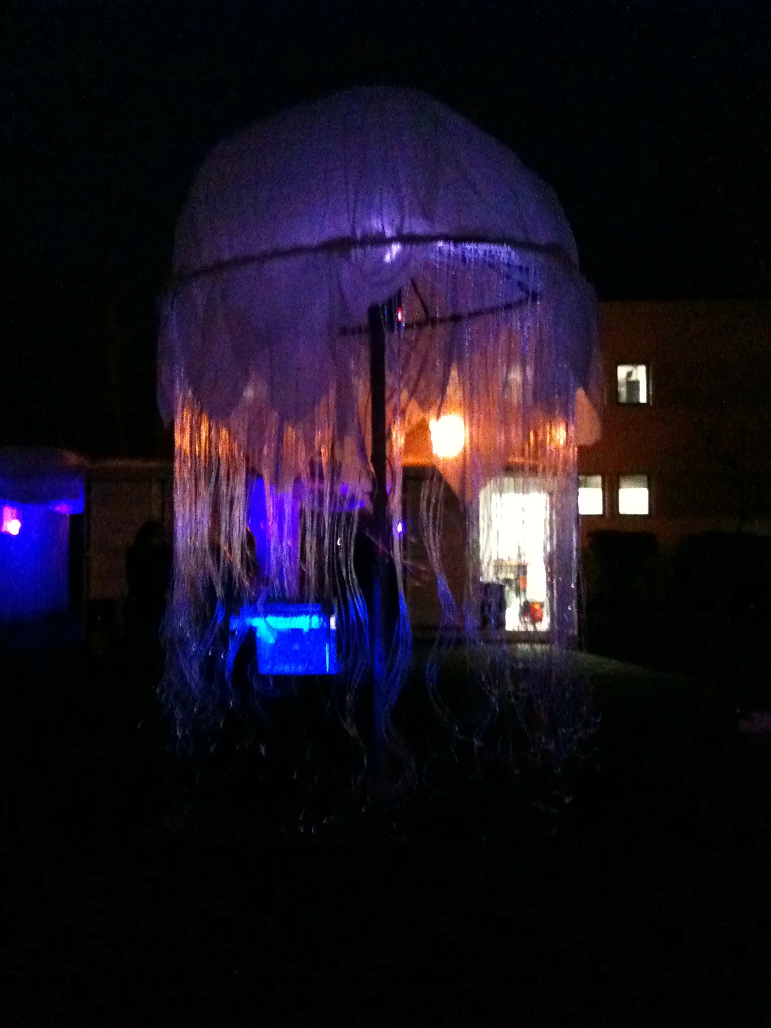 2012-12-06 17.48.04.jpg