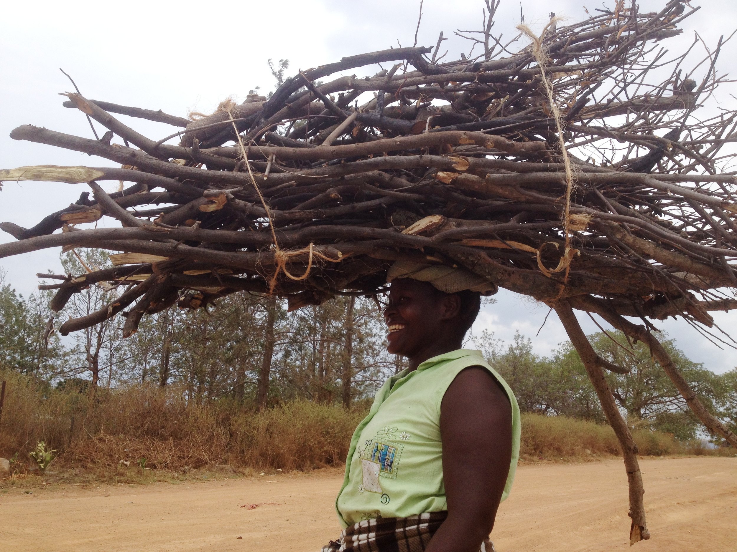 colour lady carrying wood.jpg