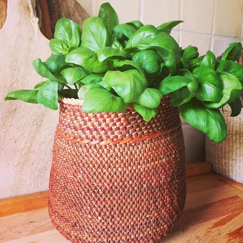 Basket plant handwoven
