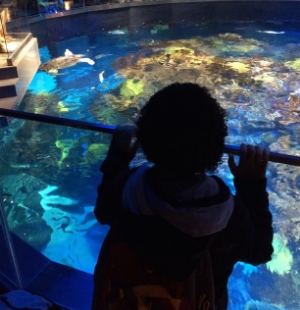 Fascinated by turtles