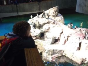 Hunter loves penguins