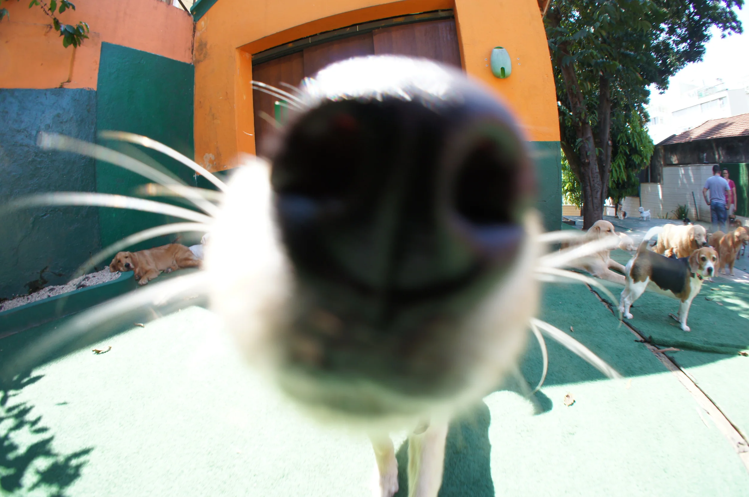 DSC00477.JPG