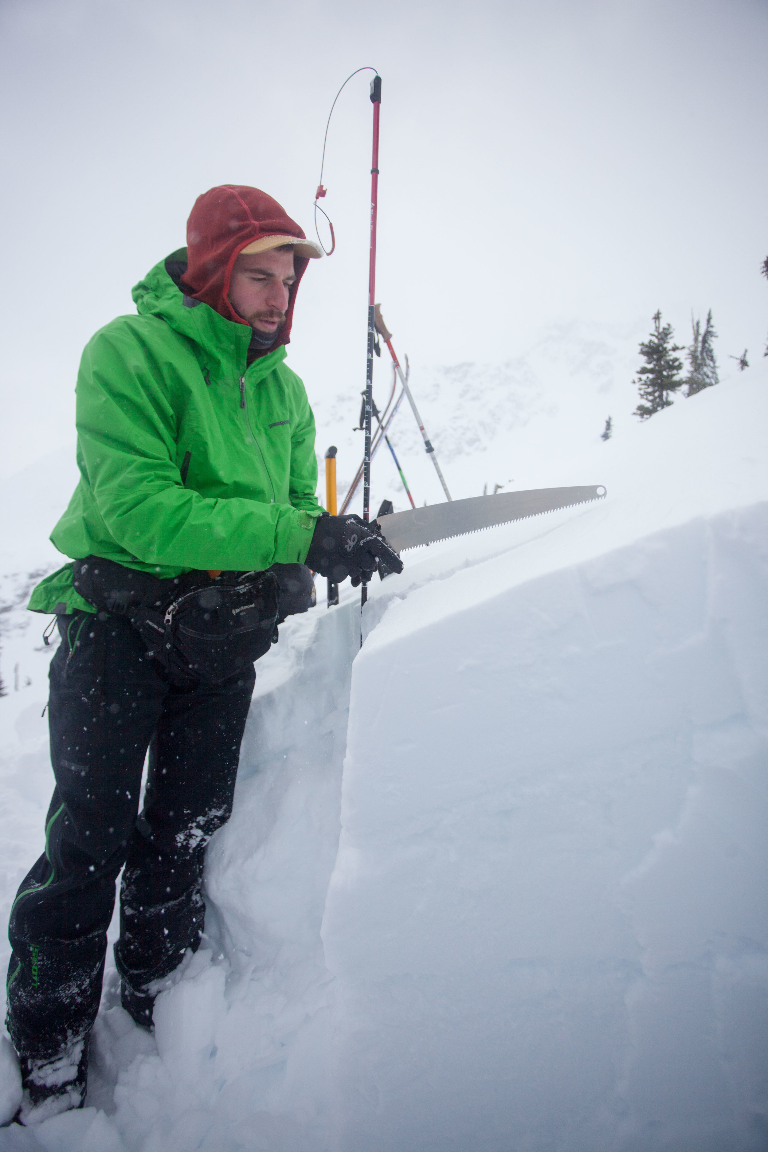 Toby cutting a column test - if you look closely you can see the two rain/warm weather crusts, with over a foot of storm slab on top...
