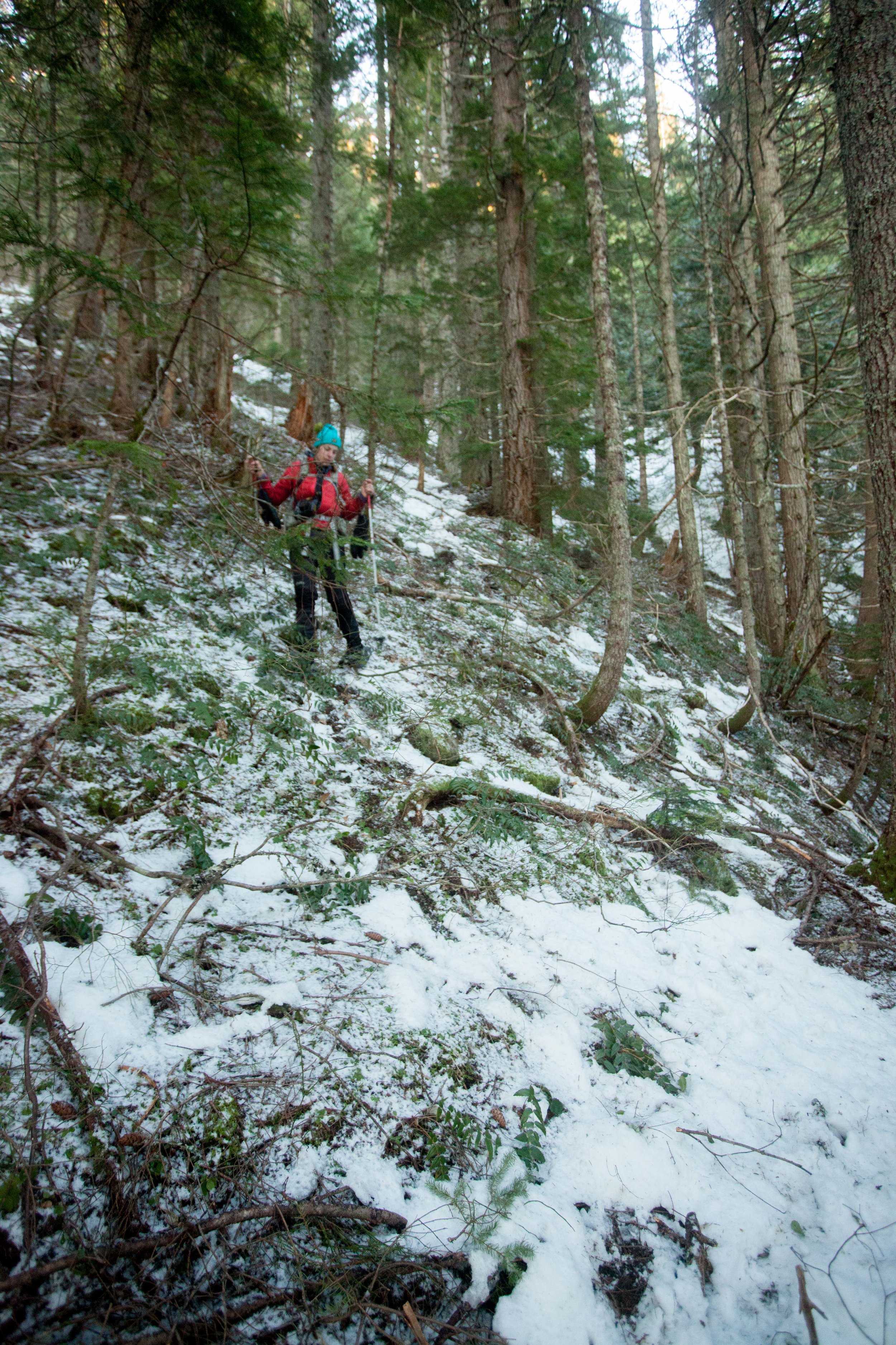 This is the last photo from the trip because I was falling so much I put the camera away