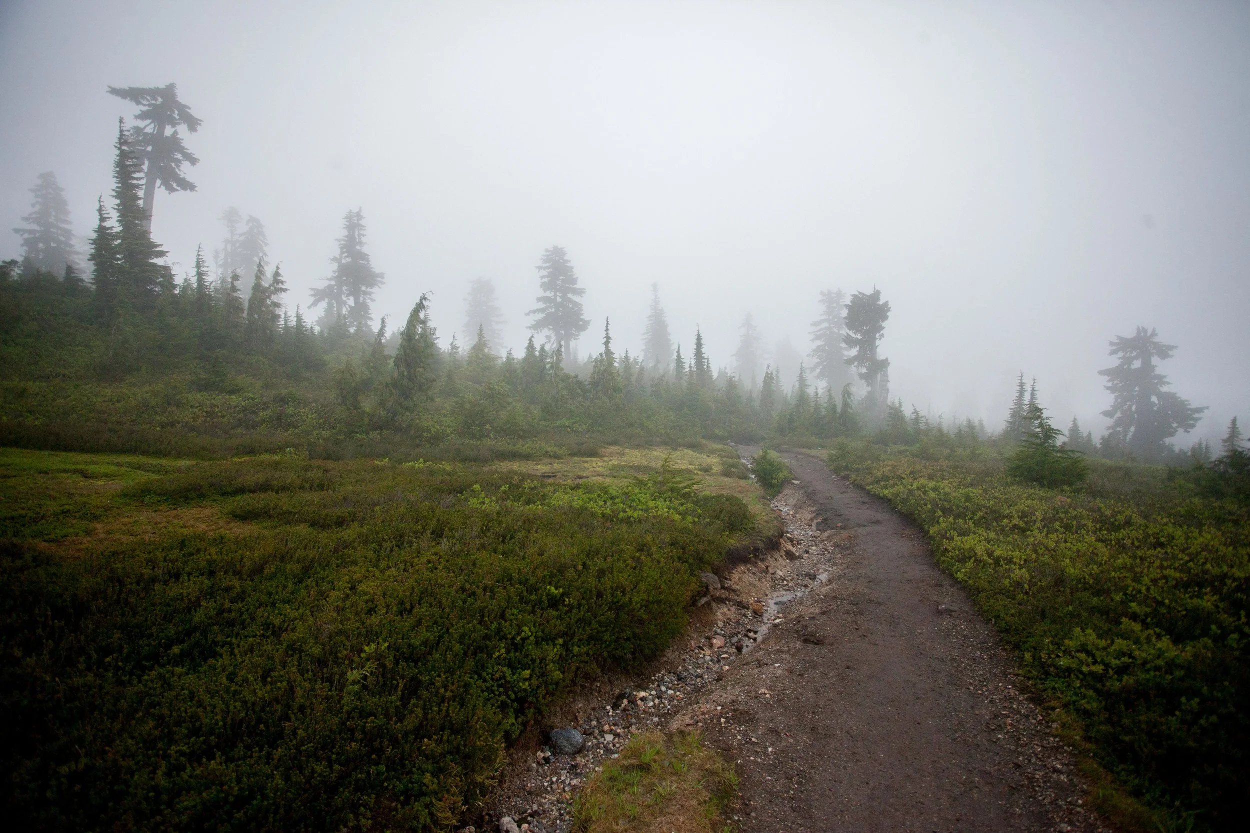 IMG_7368.jpg