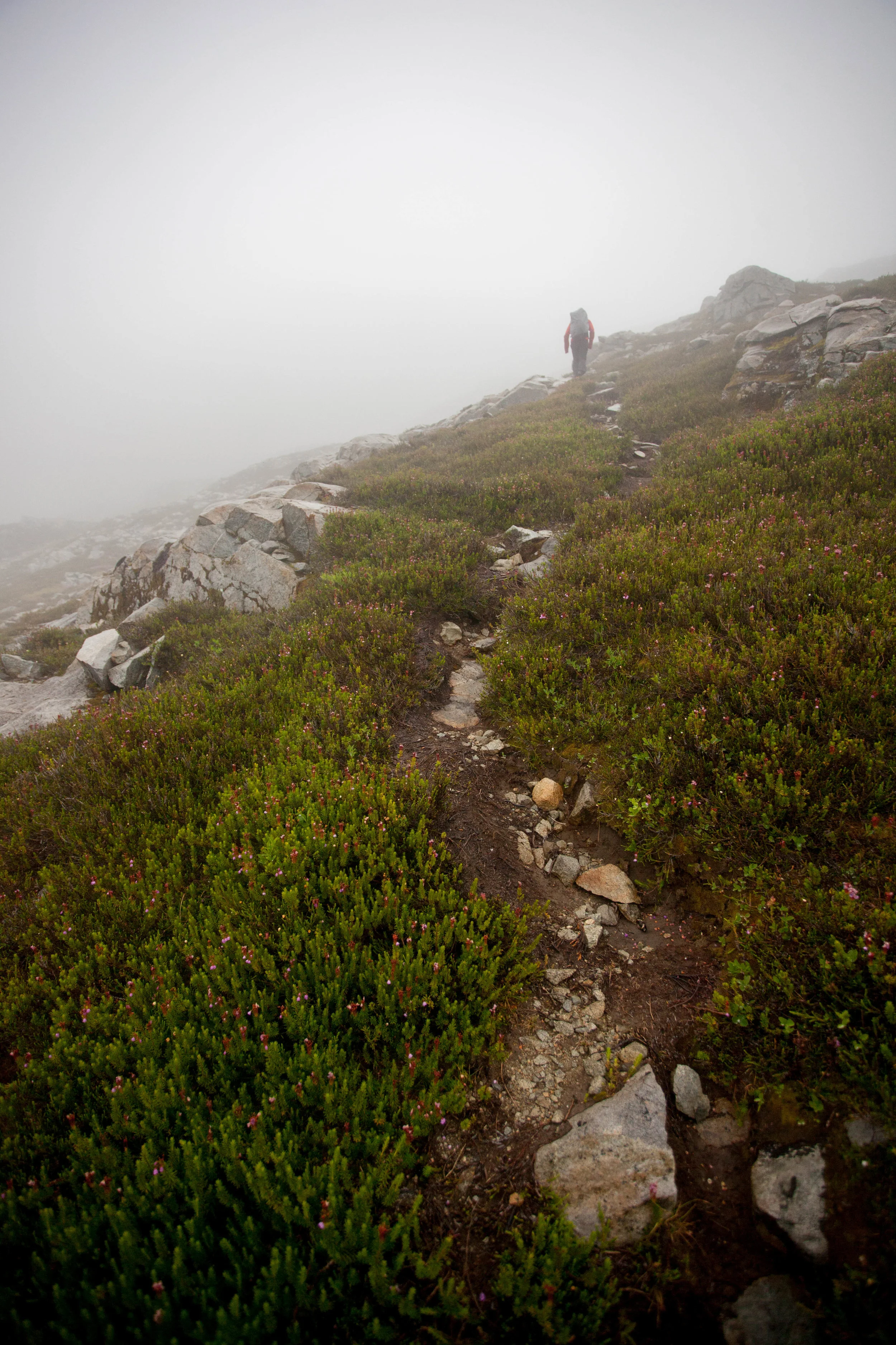Hiking through the clouds