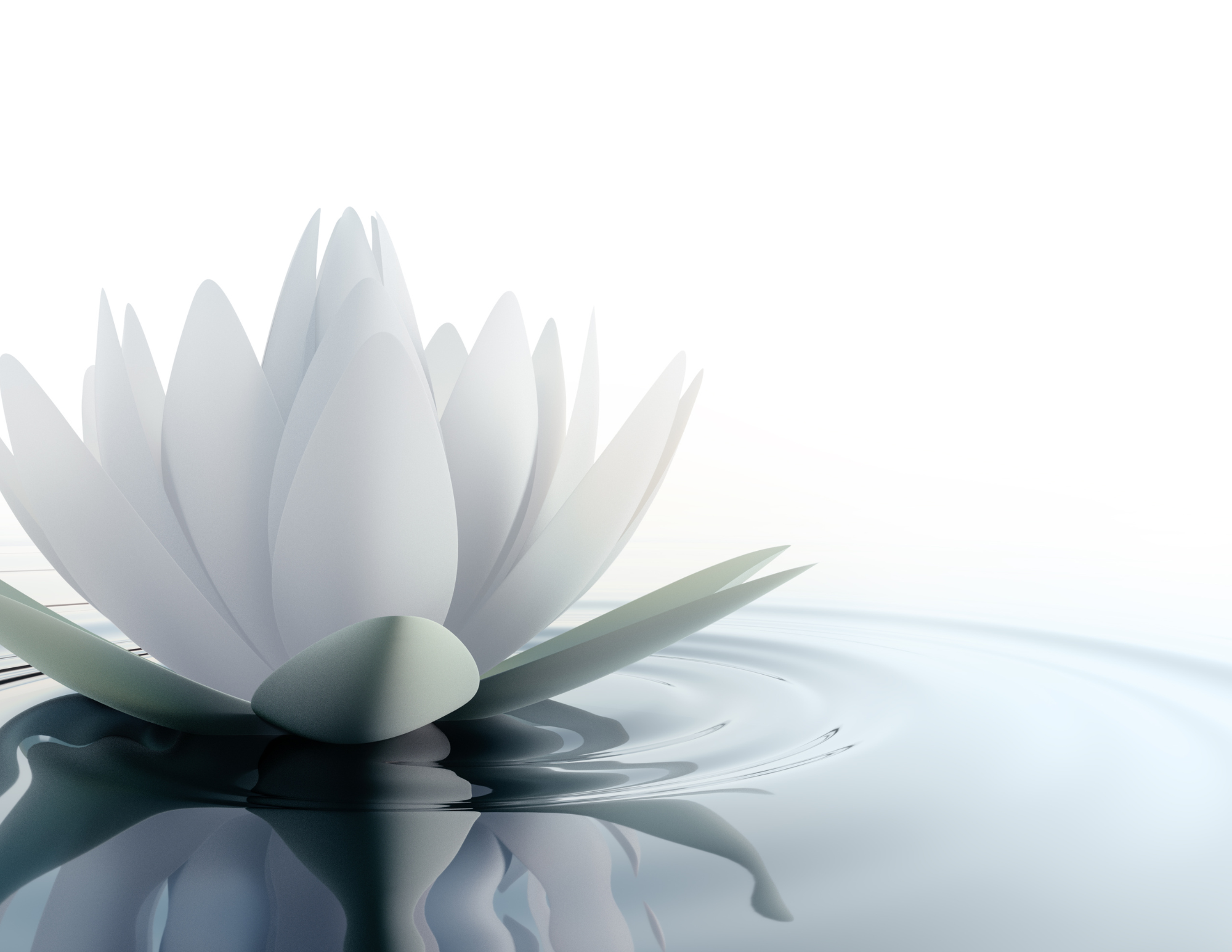 Sakalya Yoga..."Shedding 2022"